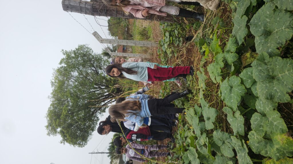 Pesquisa de campo: Abóbora