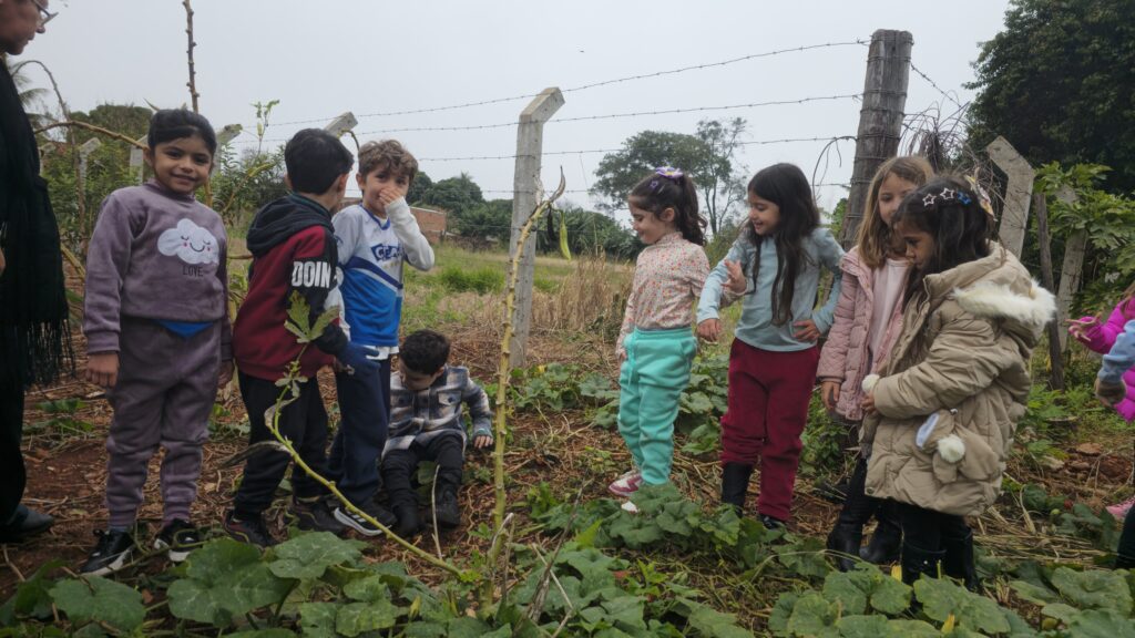 Pesquisa de campo: Abóbora