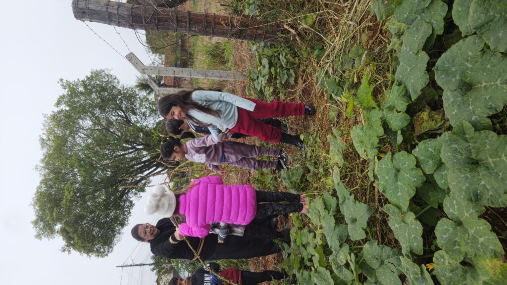 Pesquisa de campo: Abóbora