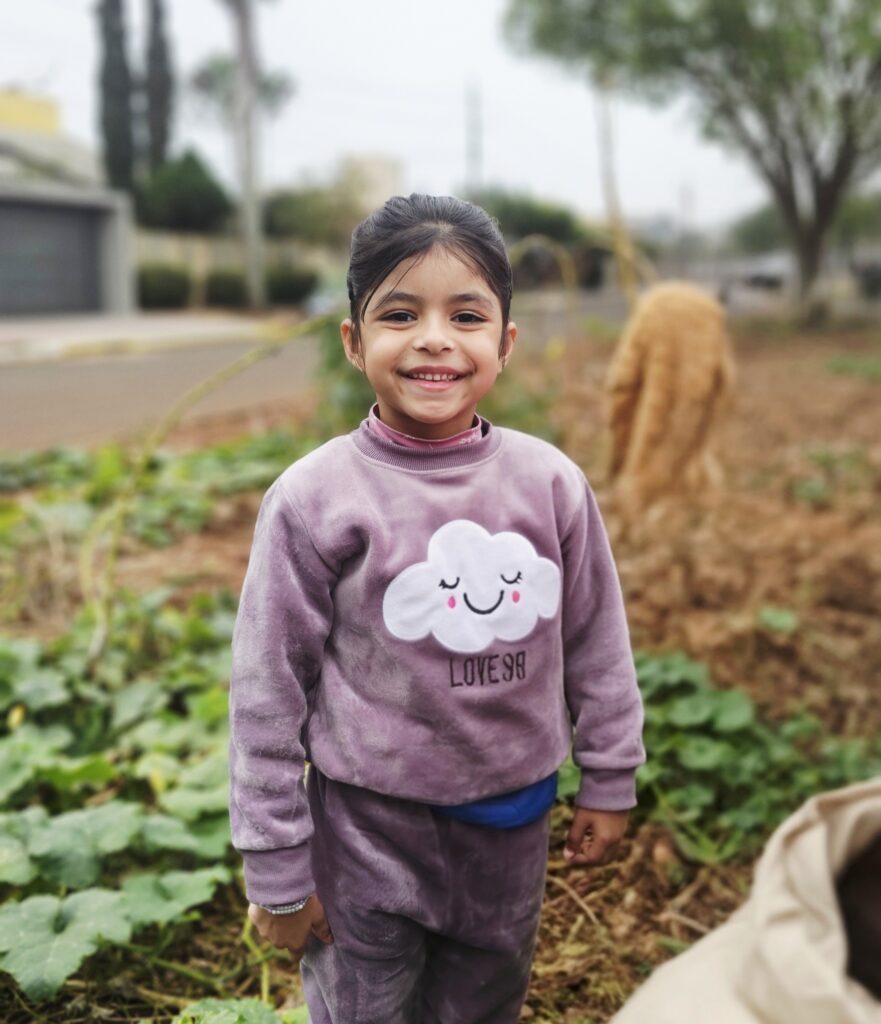 Pesquisa de campo: Abóbora