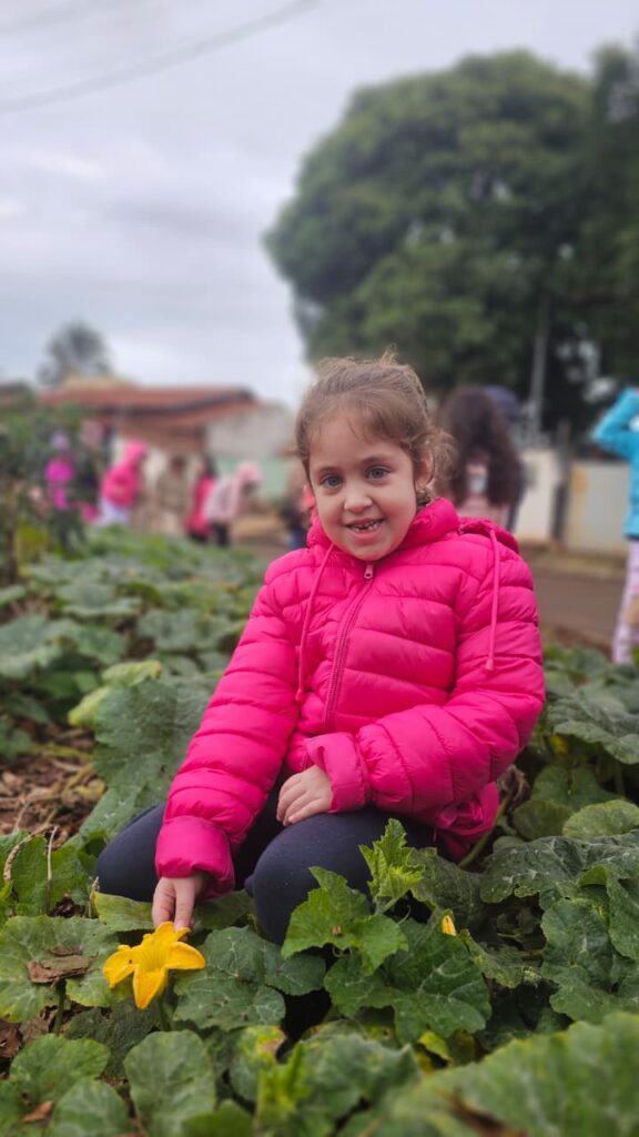 Pesquisa de campo: Abóbora