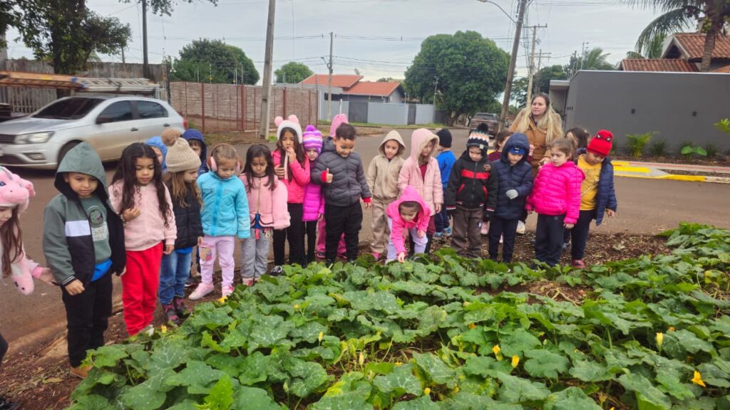 Pesquisa de campo: Abóbora