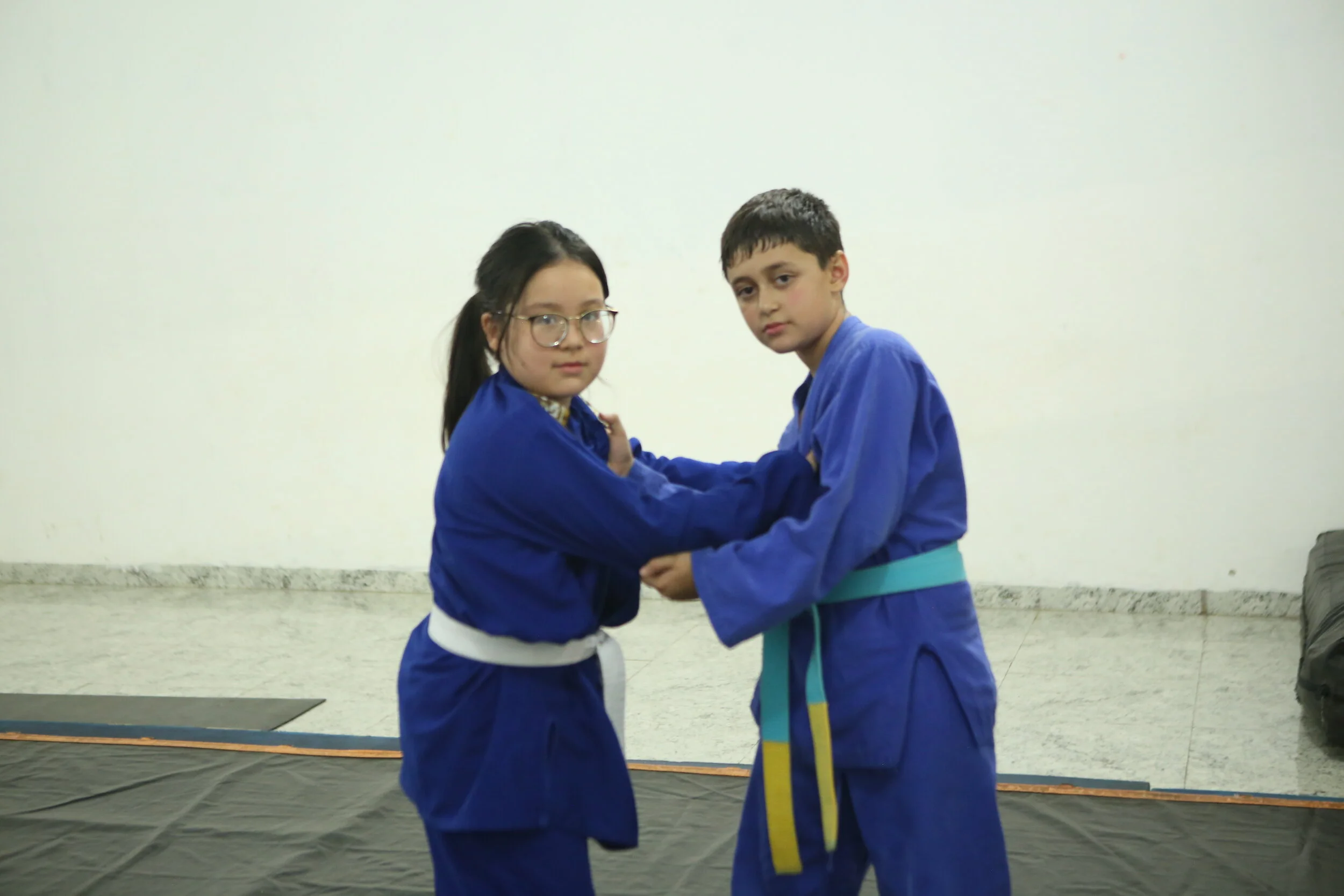asset 7 Judo